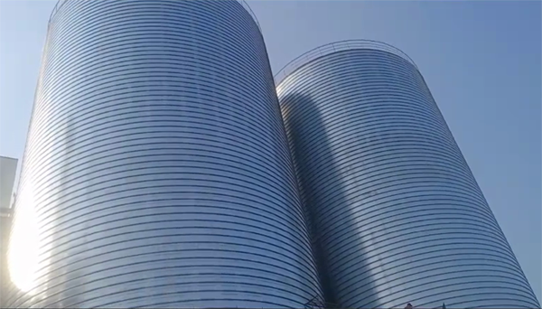 孟州2座混凝土高架卷板仓